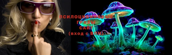 MESCALINE Вяземский